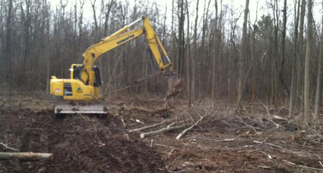 Land Clearing