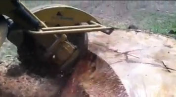 Stump Grinding