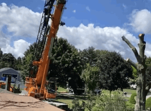Crane Service