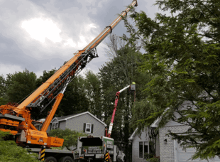 Crane Service