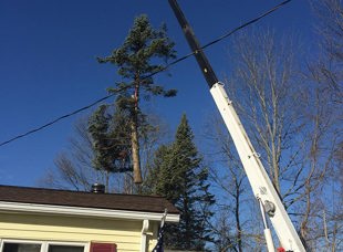 Crane Service