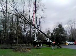 Crane Service