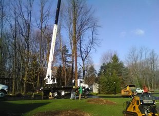 Crane Service