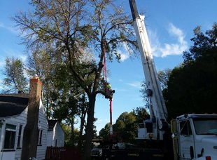 Crane Service