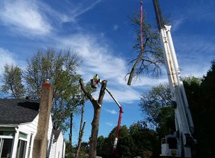 Crane Service
