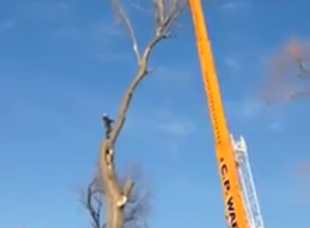 Crane Service