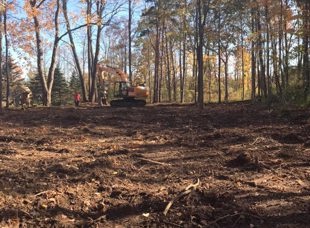 Land Clearing