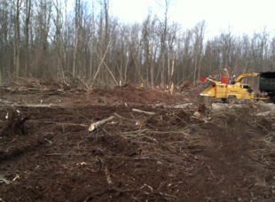 Land Clearing