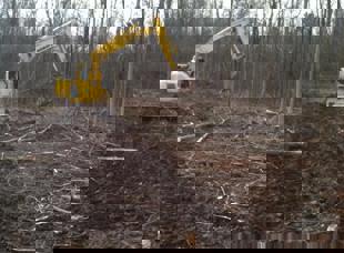 Land Clearing