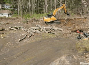 Land Clearing