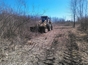 Land Clearing