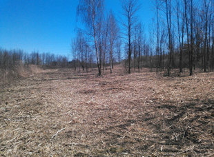 Land Clearing