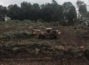 Land Clearing