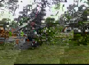 Tree Services