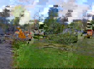 Tree Services