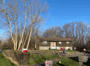 Tree Services