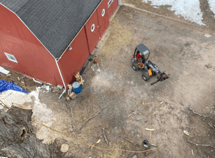 Tree Services