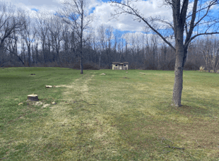 Tree Services