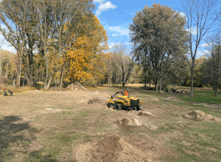 Tree Services