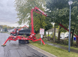 Tree Services