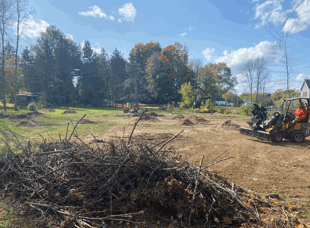 Tree Services